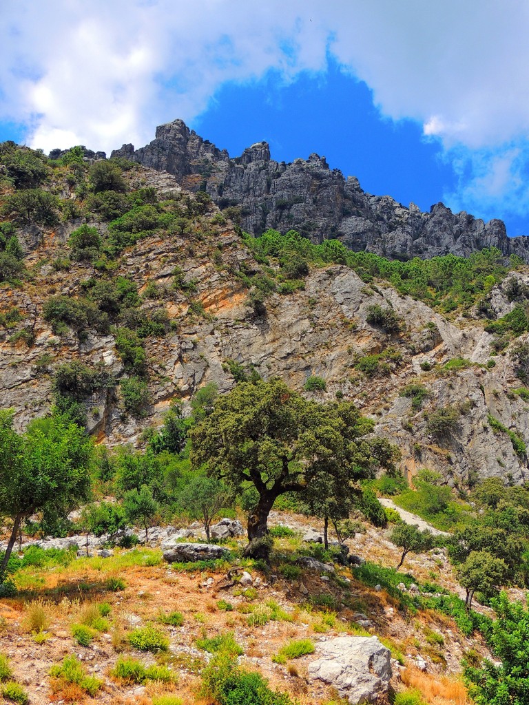 Foto de Grazalema (Cádiz), España