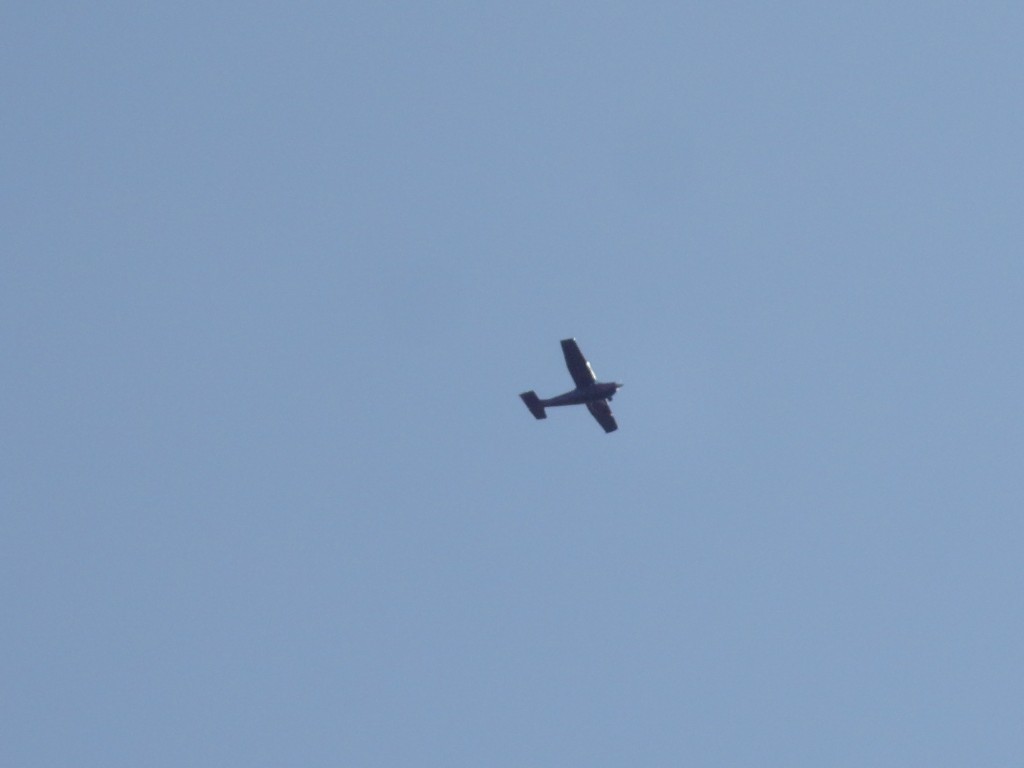 Foto: Avion - Simón Bolívar (Mushullacta) (Pastaza), Ecuador