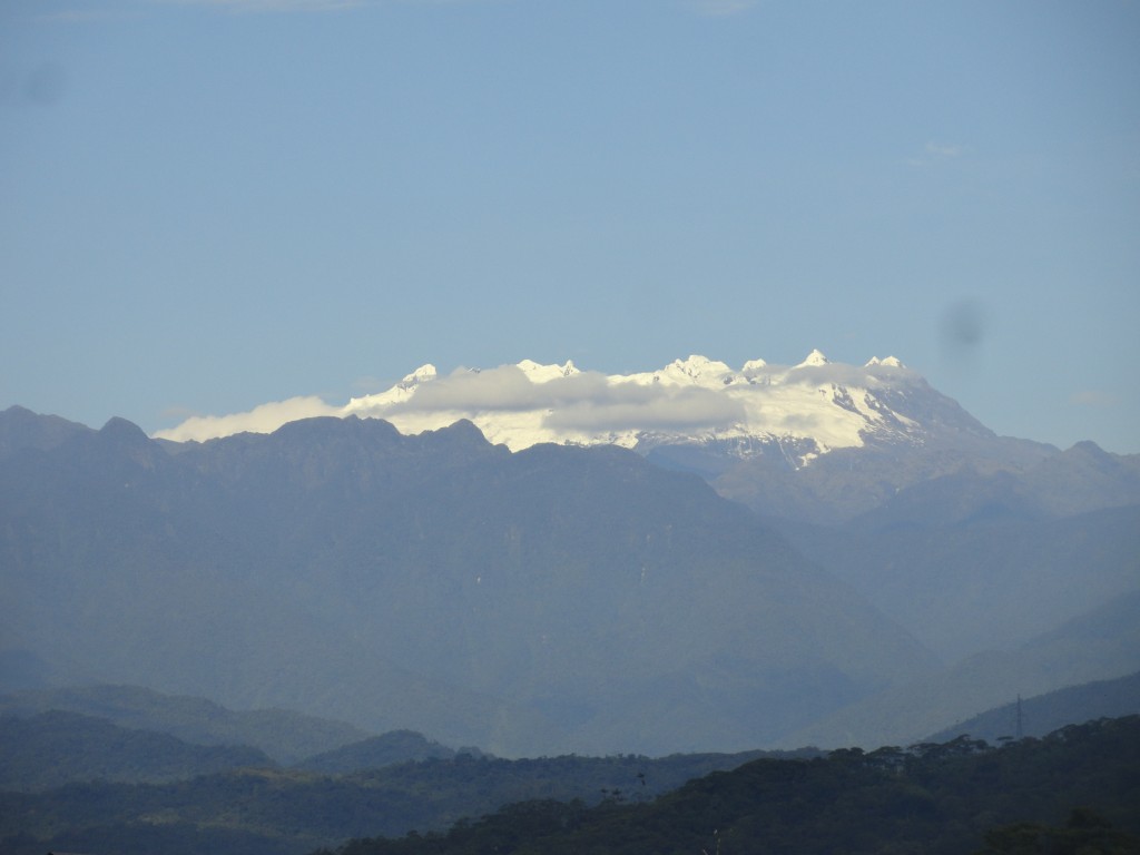 Foto: Los altares - Simón Bolívar (Mushullacta) (Pastaza), Ecuador