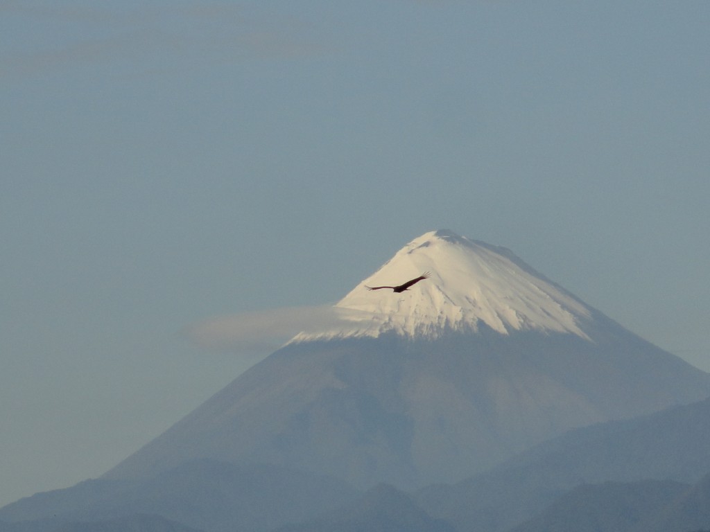 Foto: Sangay - Simón Bolívar (Mushullacta) (Pastaza), Ecuador