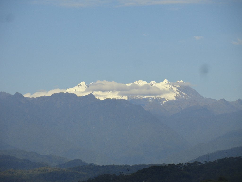 Foto: Los altares - Simón Bolívar (Mushullacta) (Pastaza), Ecuador