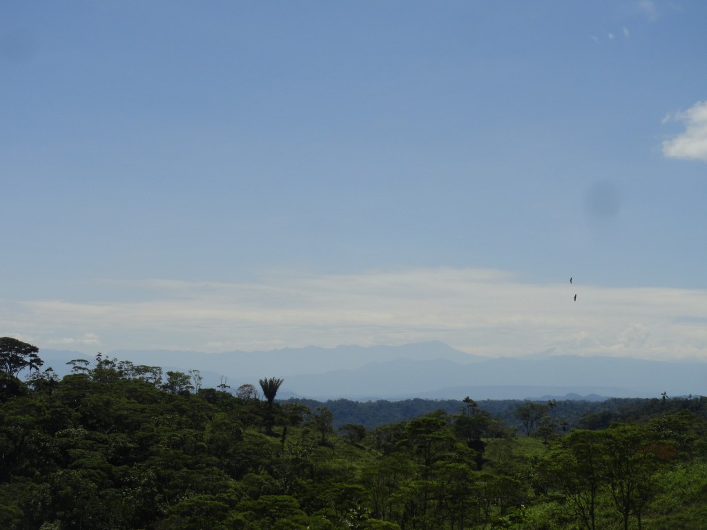 Foto: Paisaje - Simón Bolívar (Mushullacta) (Pastaza), Ecuador