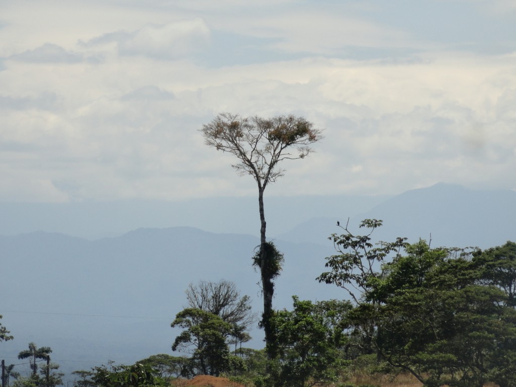 Foto: Paisaje - Simón Bolívar (Mushullacta) (Pastaza), Ecuador