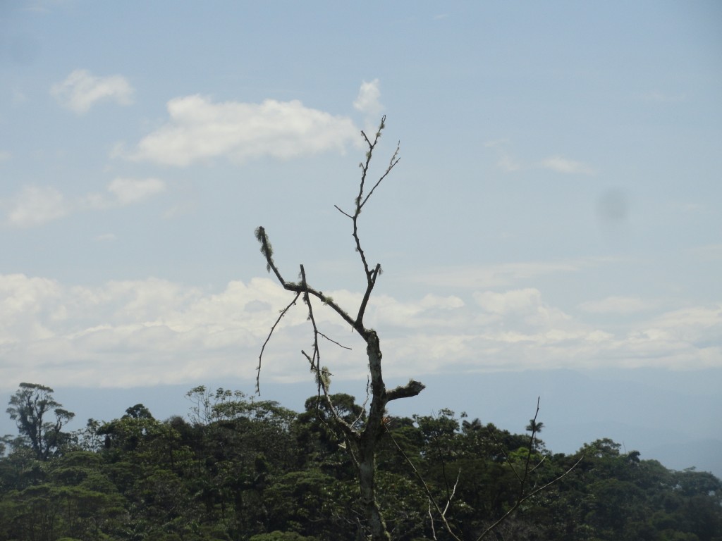 Foto: Paisaje - Simón Bolívar (Mushullacta) (Pastaza), Ecuador