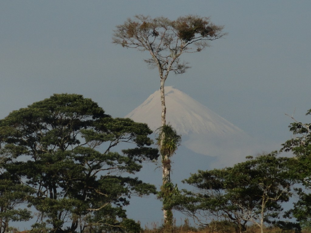 Foto: Paisaje - Simón Bolívar (Mushullacta) (Pastaza), Ecuador