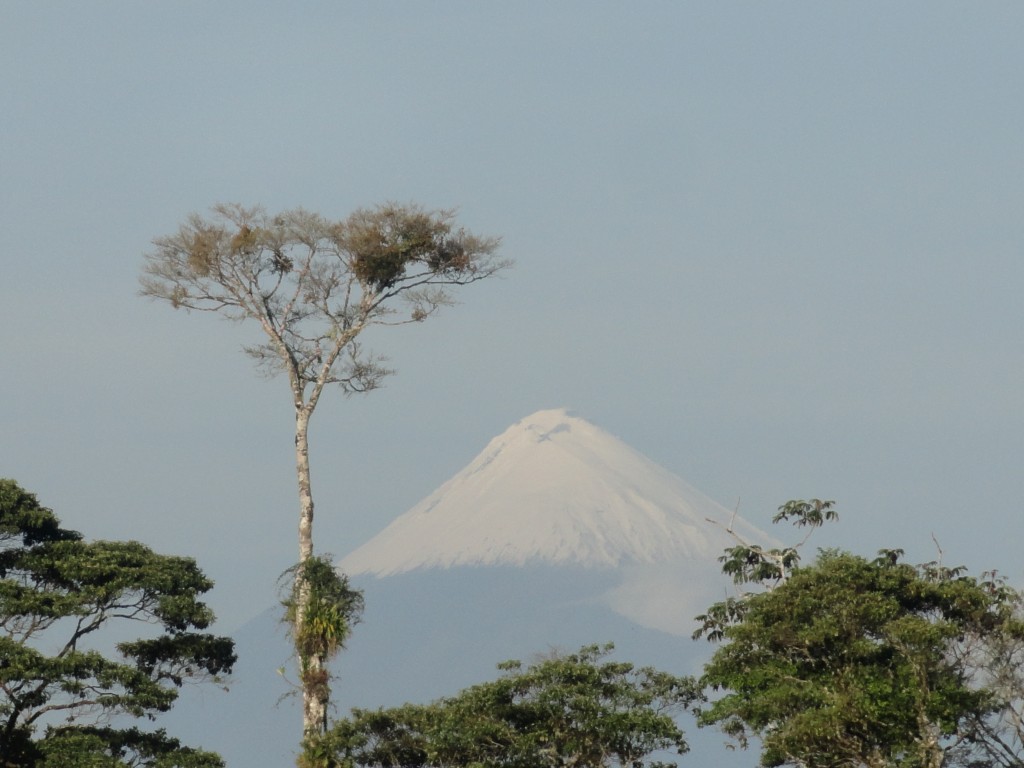 Foto: Paisaje - Simón Bolívar (Mushullacta) (Pastaza), Ecuador