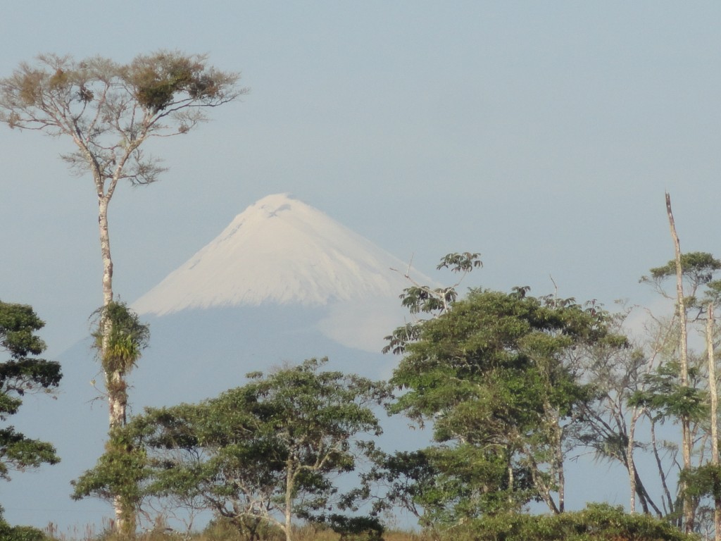 Foto: Paisaje - Simón Bolívar (Mushullacta) (Pastaza), Ecuador