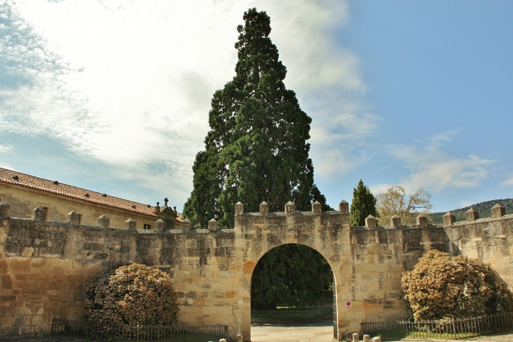 Foto: Monasterio - Santo Domingo de Silos (Burgos), España