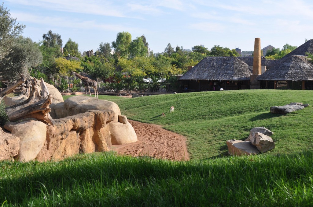 Foto: Vista del Bioparc - Valencia (València), España