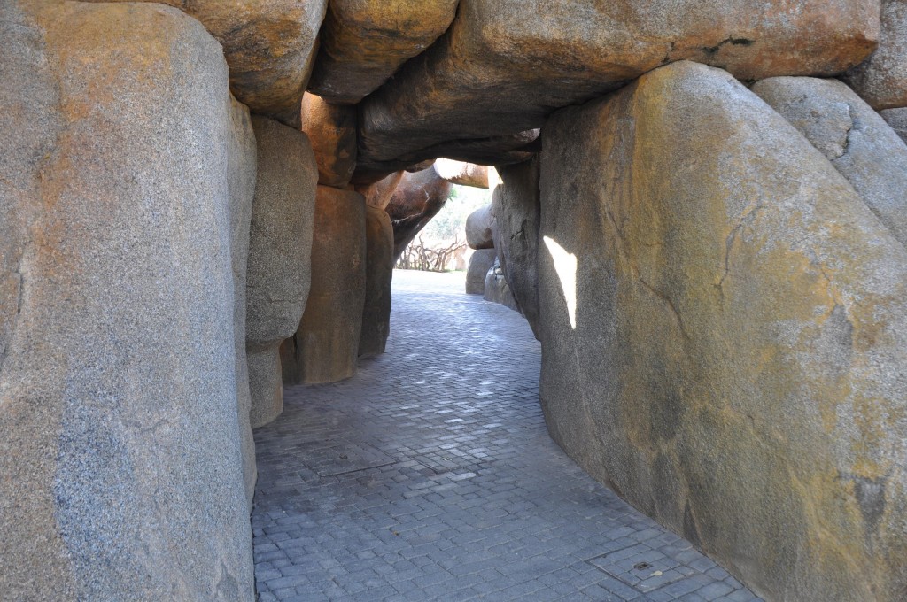 Foto: Tuneles Bioparc - Valencia (València), España