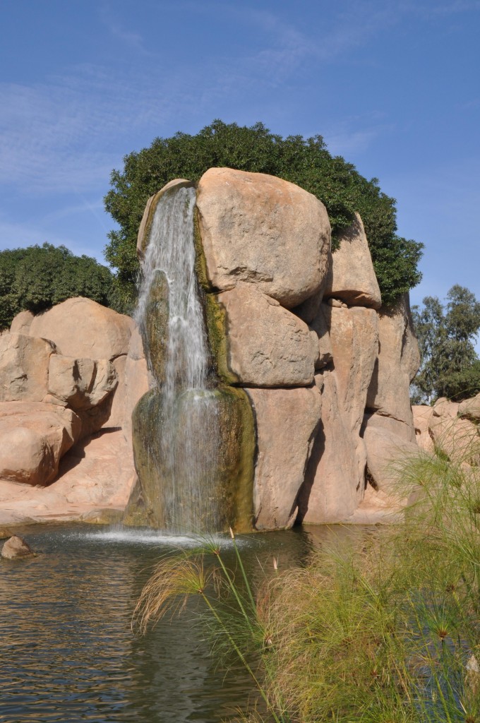 Foto: Lago Bioparc - Valencia (València), España