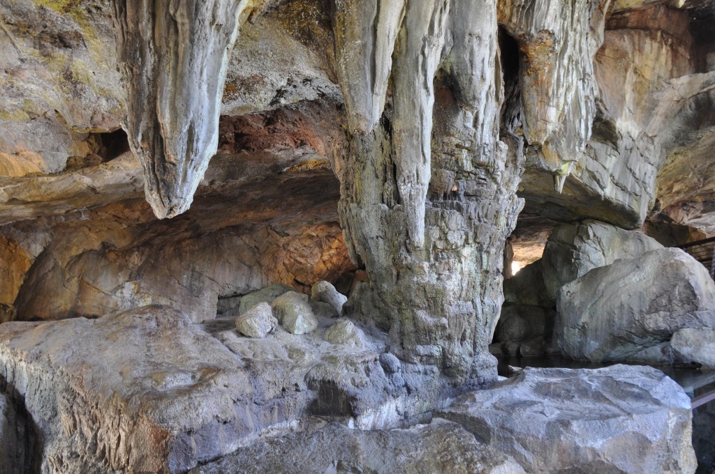 Foto: Cuevas del Bioparc - Valencia (València), España