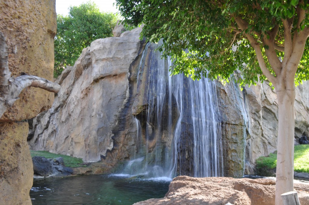 Foto: Cascada del Bioparc - Valencia (València), España