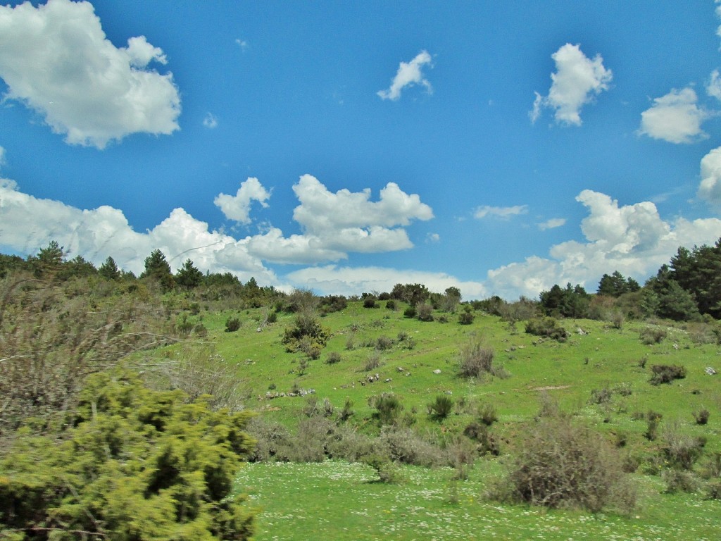 Foto: Paisaje - Barbadillo de Herreros (Burgos), España