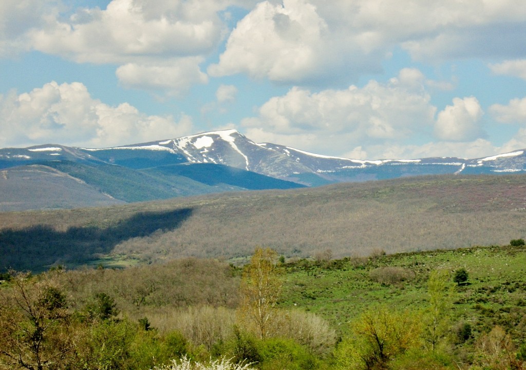 Foto: Paisaje - Barbadillo de Herreros (Burgos), España