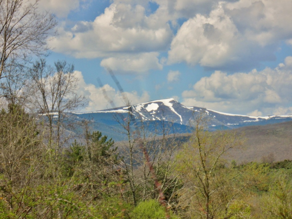 Foto: Paisaje - Barbadillo de Herreros (Burgos), España