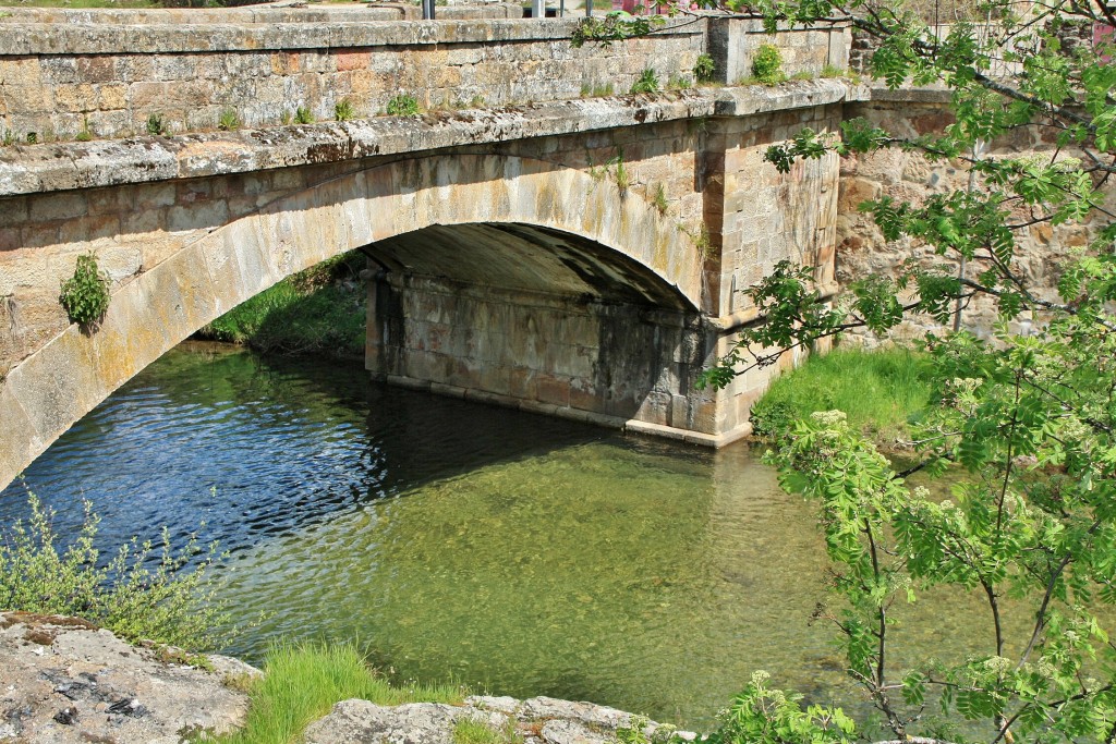 Foto: Rio Pedroso - Barbadillo de Herreros (Burgos), España