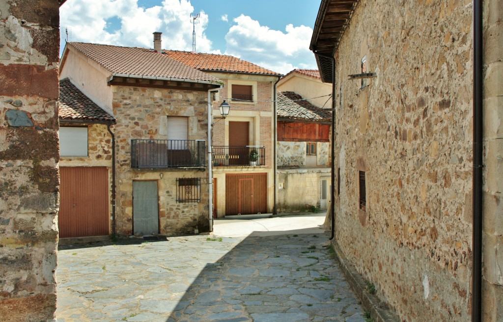 Foto: Primavera - Barbadillo de Herreros (Burgos), España