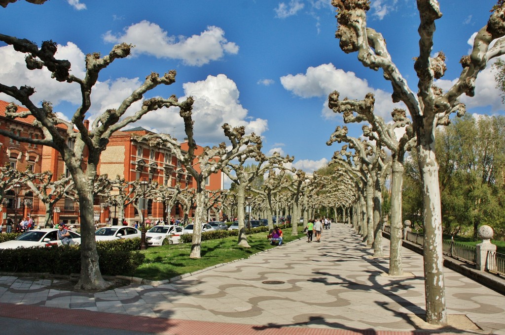 Foto: Paseo del Espolón - Burgos (Castilla y León), España