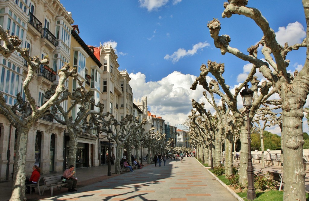 Foto: Paseo del Espolón - Burgos (Castilla y León), España