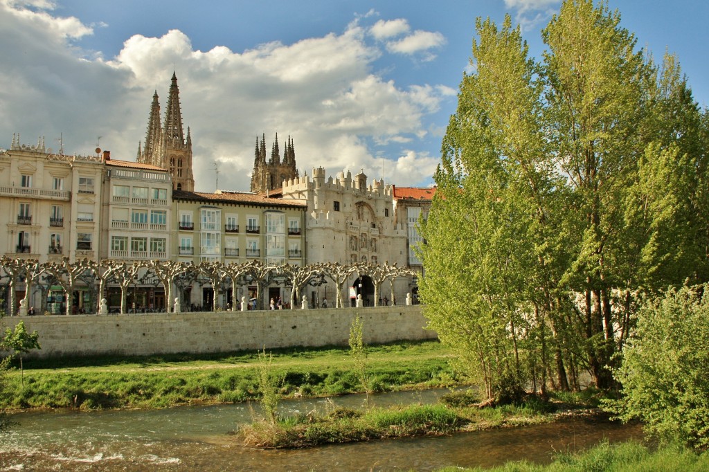 Foto: Cauce del rio Arlanzón - Burgos (Castilla y León), España