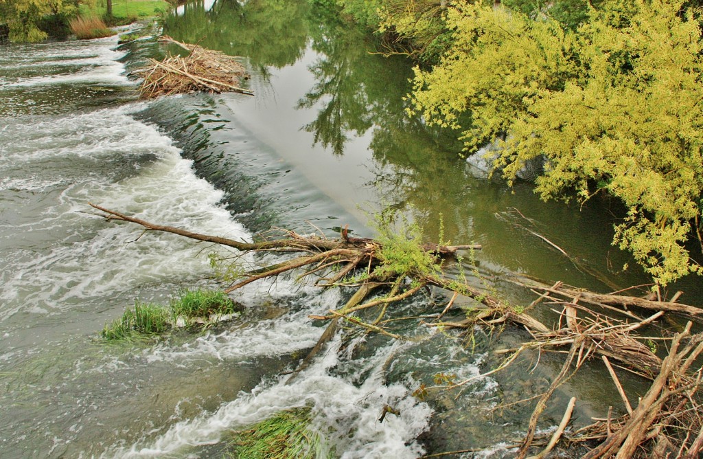 Foto: Rio Arlanzón - Pampliega (Burgos), España