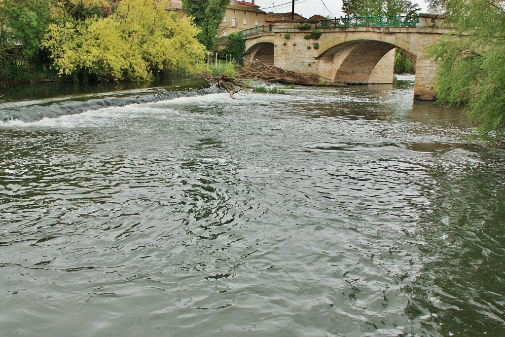 Foto: Rio Arlanzón - Pampliega (Burgos), España