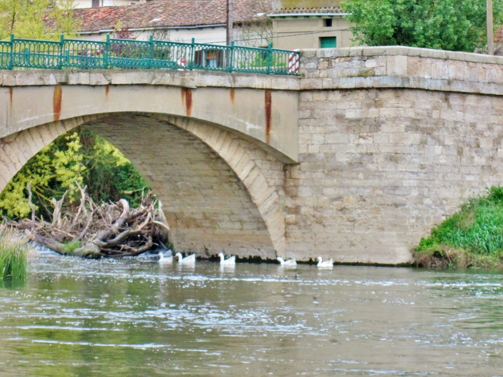 Foto: Rio Arlanzón - Pampliega (Burgos), España