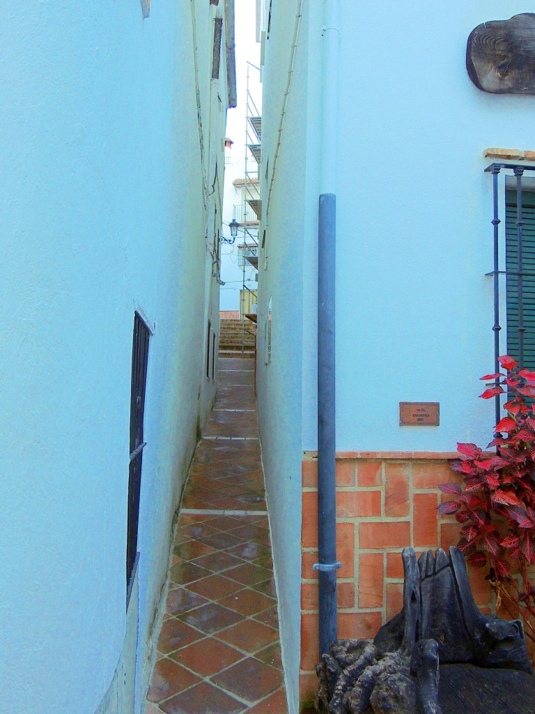 Foto: Calle Tope - Genalguacil (Málaga), España