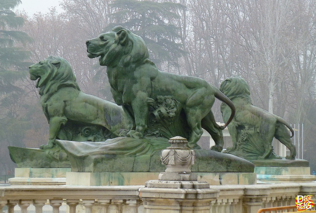 Foto: Leones del Monumento Alfonso XII - Madrid (Comunidad de Madrid), España