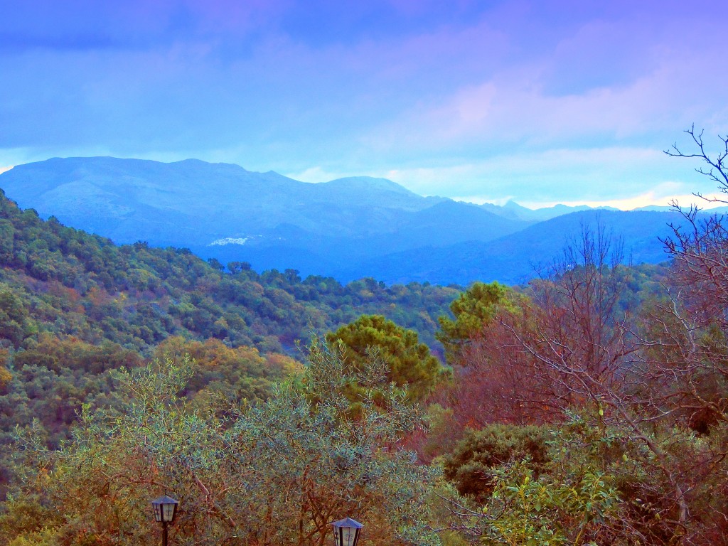 Foto: Vistas - Benarraba (Málaga), España