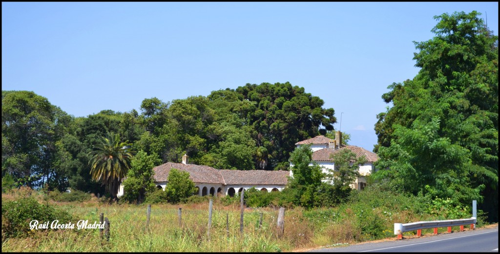 Foto de Quinta de Tilcoco (Libertador General Bernardo OʼHiggins), Chile