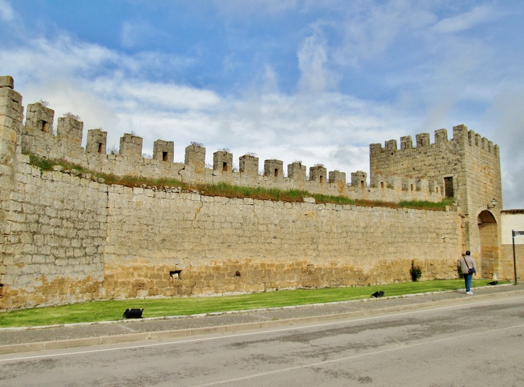 Foto: Muralla - Sasamón (Burgos), España