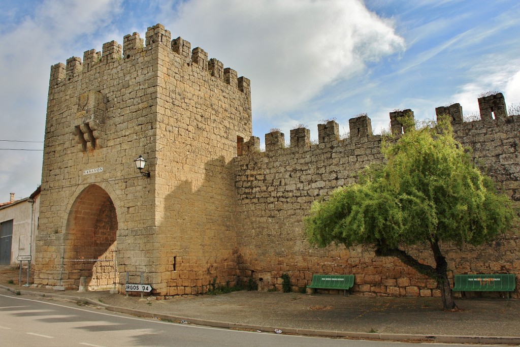 Foto: Muralla - Sasamón (Burgos), España