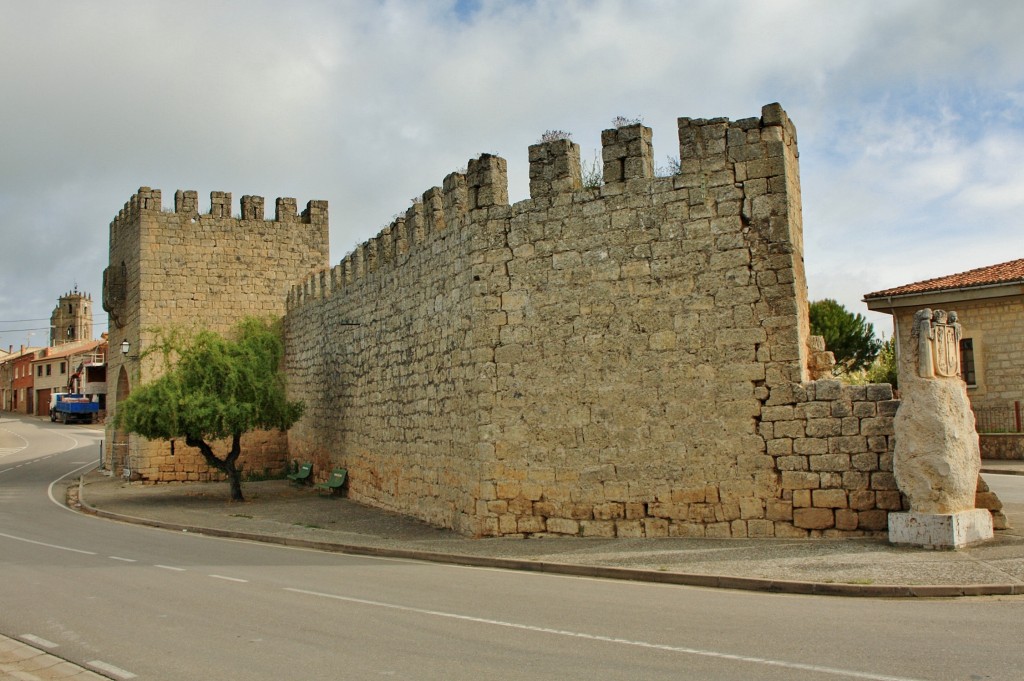 Foto: Muralla - Sasamón (Burgos), España