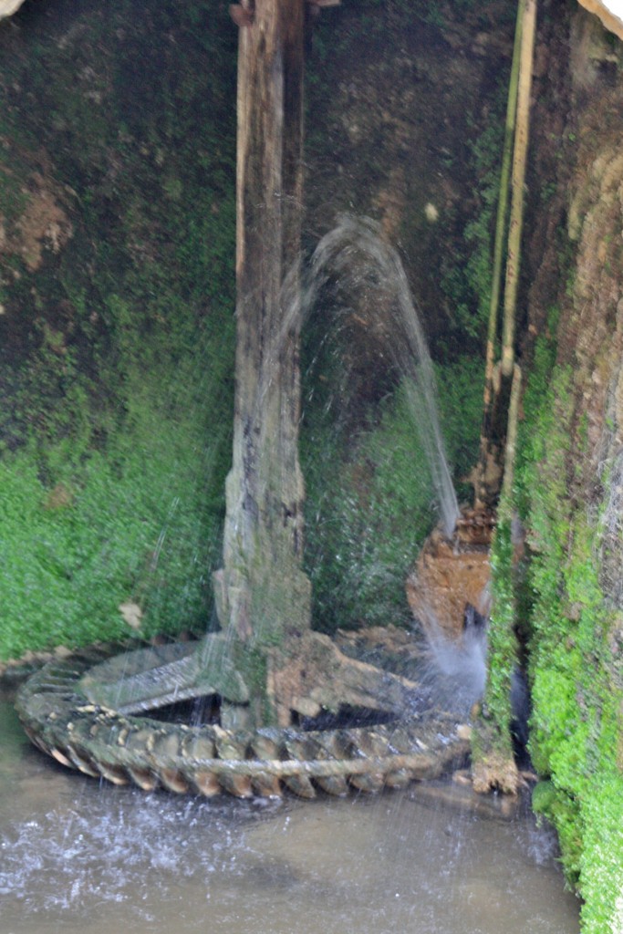 Foto: Molino - Sedano (Burgos), España