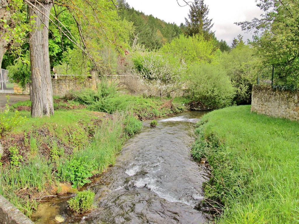 Foto: Rio Gredilla - Sedano (Burgos), España