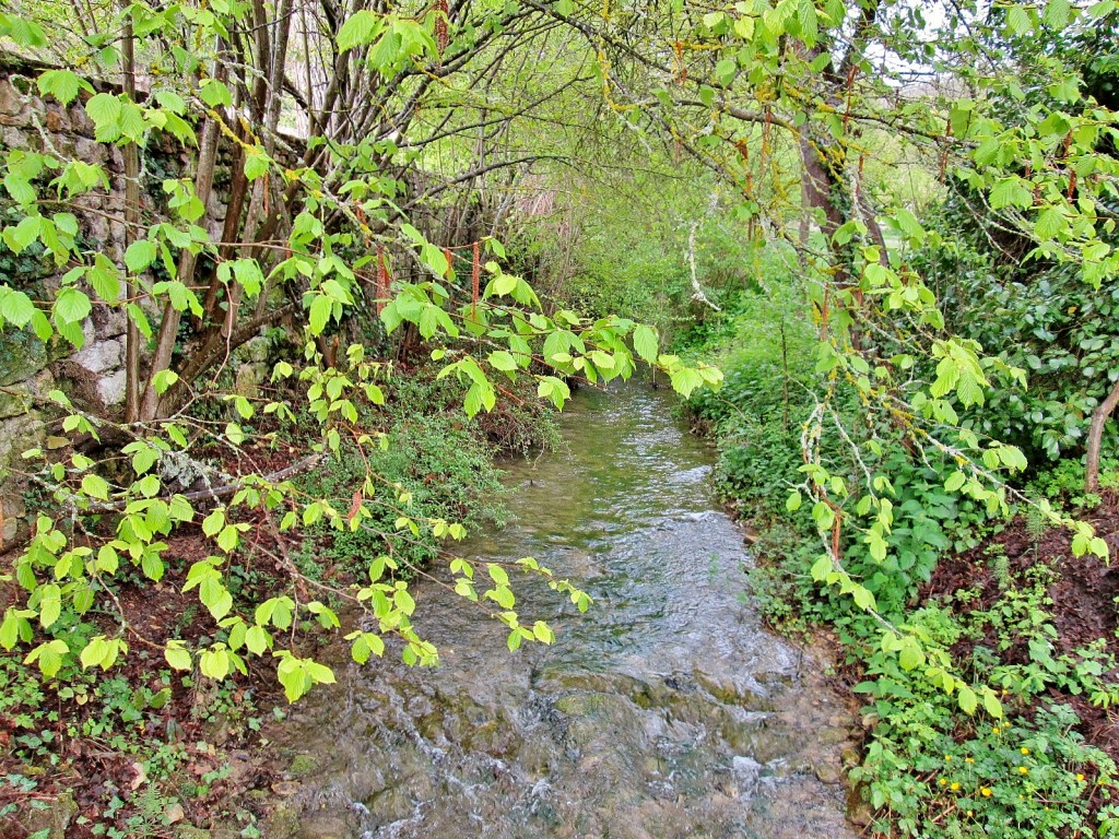 Foto: Rio Gredilla - Sedano (Burgos), España