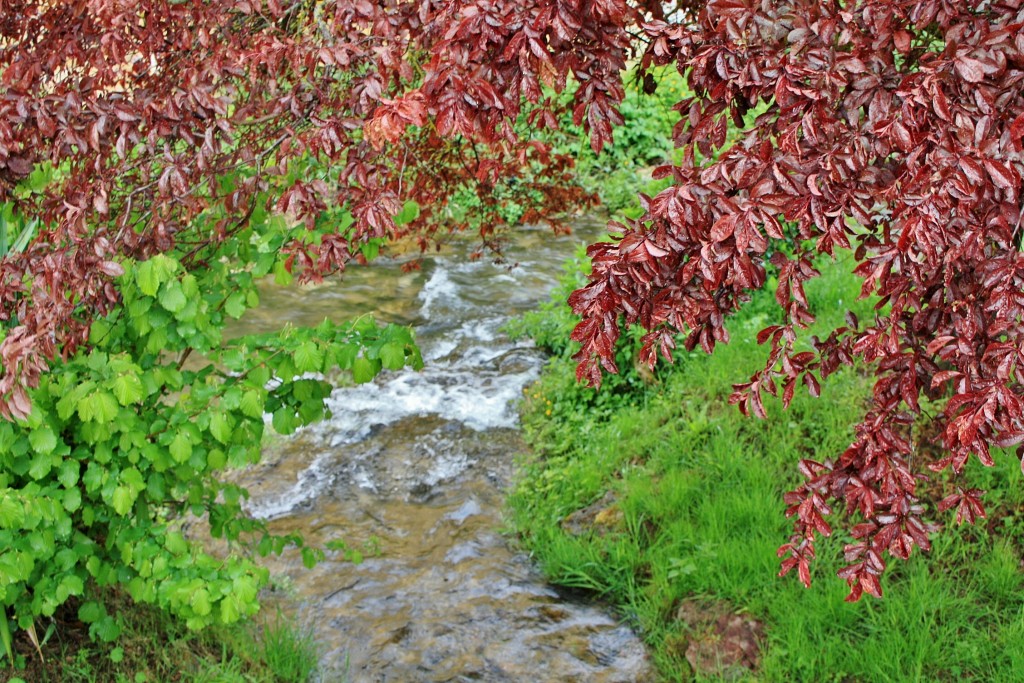 Foto: Rio Gredilla - Sedano (Burgos), España