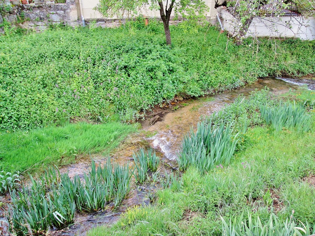 Foto: Primavera - Sedano (Burgos), España