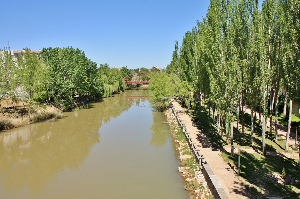 Foto: Rio Duero - Aranda de Duero (Burgos), España