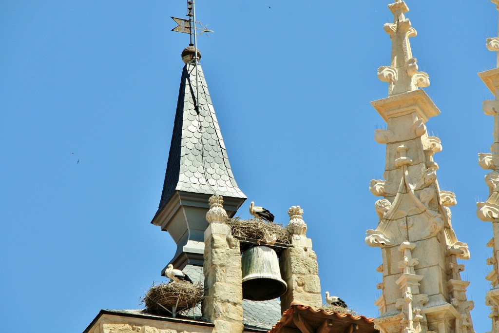 Foto: Santa María la Real - Aranda de Duero (Burgos), España