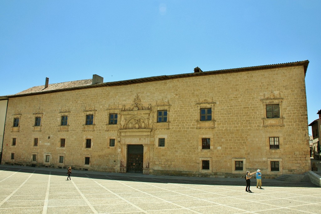 Foto: Palacio de Avellaneda - Peñaranda de Duero (Burgos), España