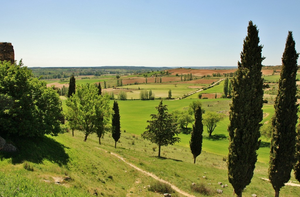 Foto: Vistas desde el castillo - Peñaranda de Duero (Burgos), España