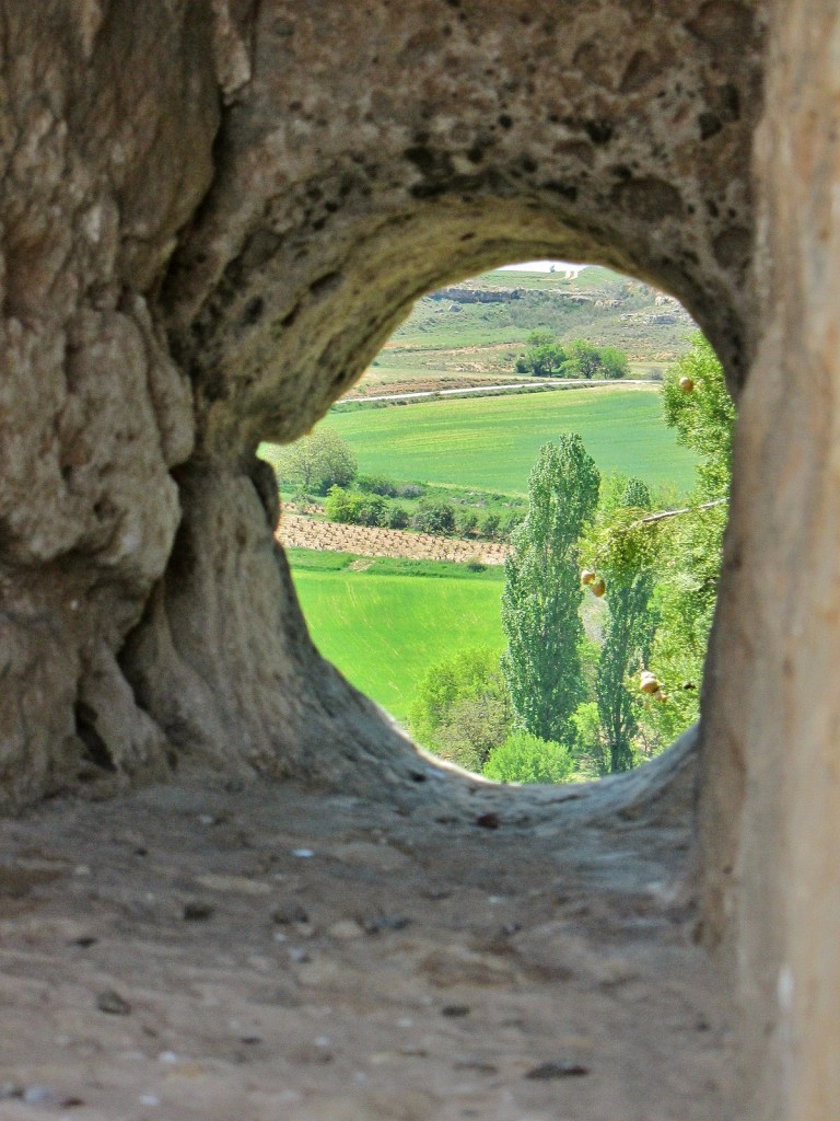 Foto: Vistas desde el castillo - Peñaranda de Duero (Burgos), España