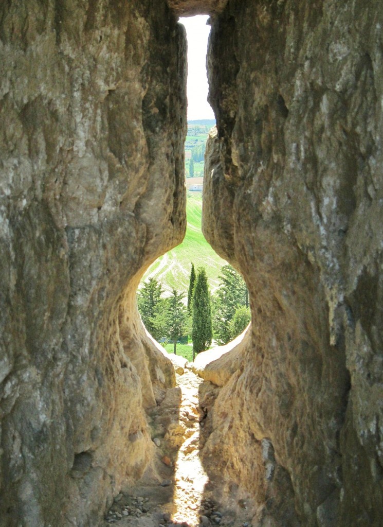 Foto: Vistas desde el castillo - Peñaranda de Duero (Burgos), España