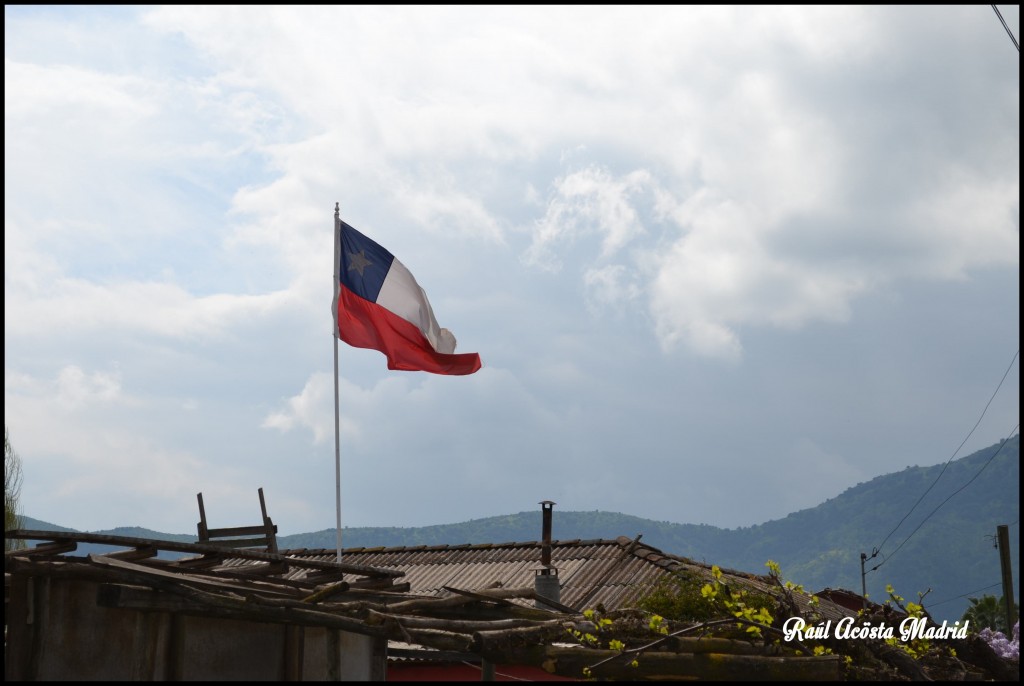 Foto de Quinta de Tilcoco (Libertador General Bernardo OʼHiggins), Chile