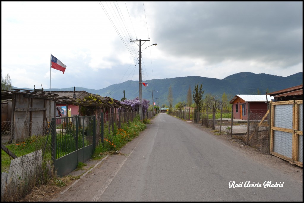 Foto de Quinta de Tilcoco (Libertador General Bernardo OʼHiggins), Chile