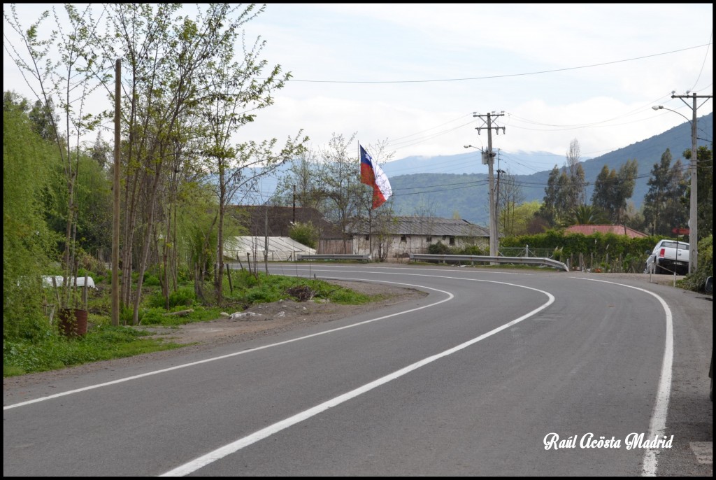 Foto de Quinta de Tilcoco (Libertador General Bernardo OʼHiggins), Chile