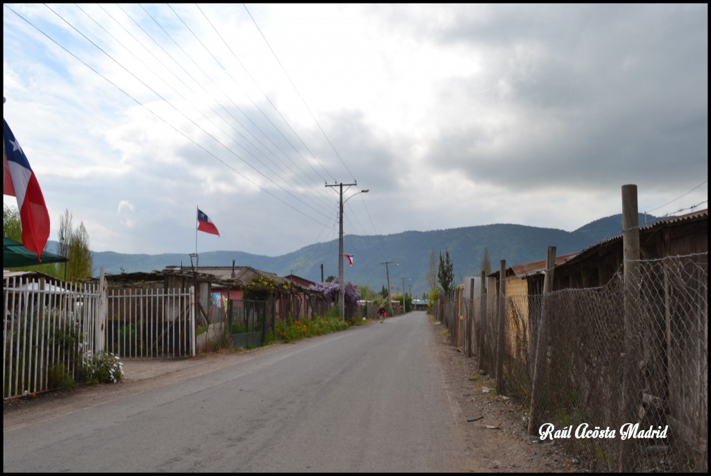 Foto de Quinta de Tilcoco (Libertador General Bernardo OʼHiggins), Chile